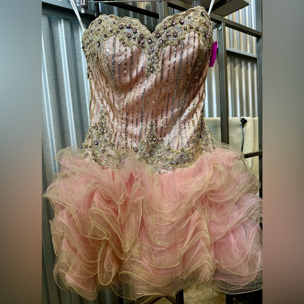 Hannah S | Pink and Gold Embellished Prom Dress, size 2